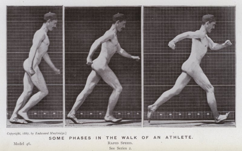 Hareket Halindeki İnsan Figürü: Bir sporcunun yürüyüşünün bazı aşamaları (s/b fotoğraf) by Eadweard Muybridge
