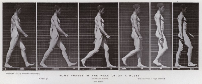 Hareket Halindeki İnsan Figürü: Bir sporcunun yürüyüşünün bazı aşamaları (s/b fotoğraf) by Eadweard Muybridge