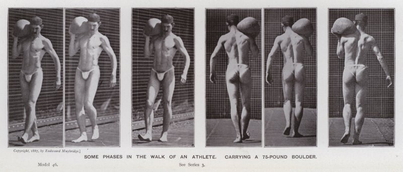 Hareket Halindeki İnsan Figürü: 75 kiloluk bir kaya taşıyan bir sporcunun yürüyüşünün bazı aşamaları (s/b fotoğraf) by Eadweard Muybridge