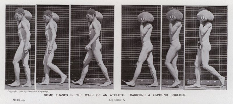 Hareket Halindeki İnsan Figürü: 75 kiloluk bir kaya taşıyan bir sporcunun yürüyüşünün bazı aşamaları (s/b fotoğraf) by Eadweard Muybridge