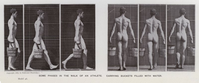 Hareket Halindeki İnsan Figürü: Su dolu kovaları taşıyan bir sporcunun yürüyüşünün bazı aşamaları (s/b fotoğraf) by Eadweard Muybridge