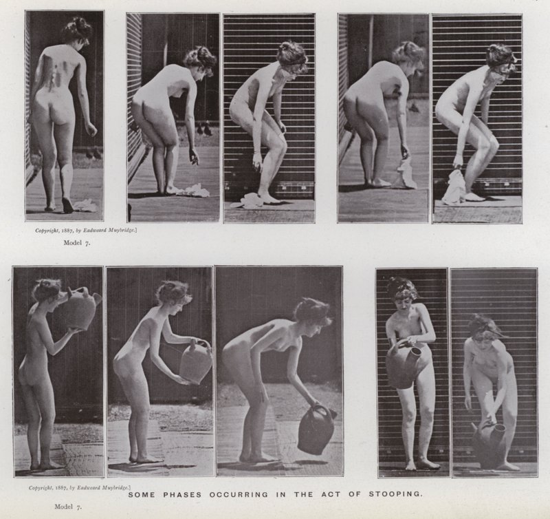 Hareket Halindeki İnsan Figürü: Eğilme eyleminde meydana gelen bazı evreler by Eadweard Muybridge
