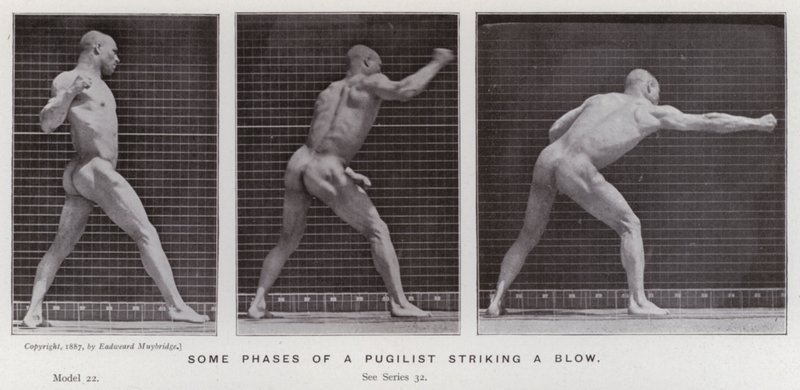 Hareket Halindeki İnsan Figürü: Bir boksörün darbe vurduğu bazı aşamalar (s/b fotoğraf) by Eadweard Muybridge