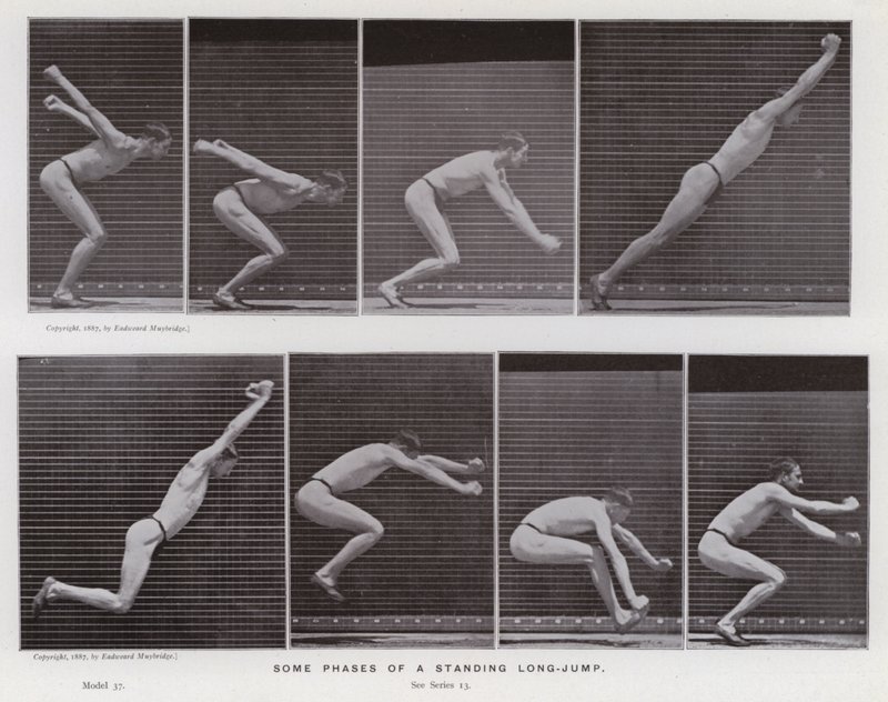 Hareket Halindeki İnsan Figürü: Durarak uzun atlamanın bazı aşamaları (s/b fotoğraf) by Eadweard Muybridge