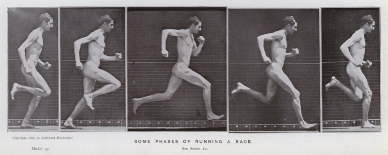 Hareket Halindeki İnsan Figürü: Bir yarış için koşmanın bazı aşamaları (s/b fotoğraf) by Eadweard Muybridge
