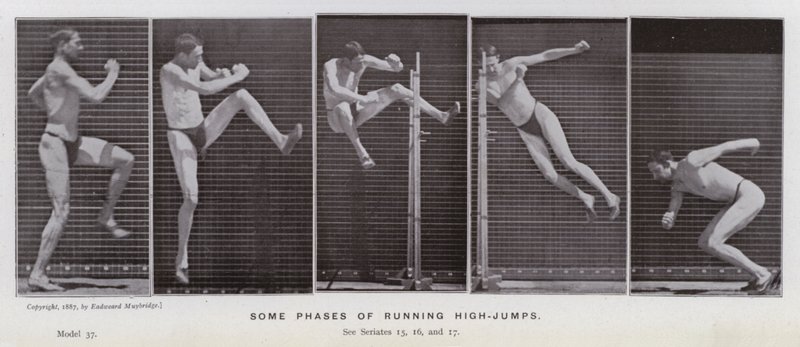 Hareket Halindeki İnsan Figürü: Yüksek atlamaların bazı aşamaları (s/b fotoğraf) by Eadweard Muybridge