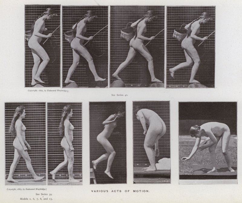 Hareket Halindeki İnsan Figürü: Çeşitli hareket eylemleri (s/b fotoğraf) by Eadweard Muybridge