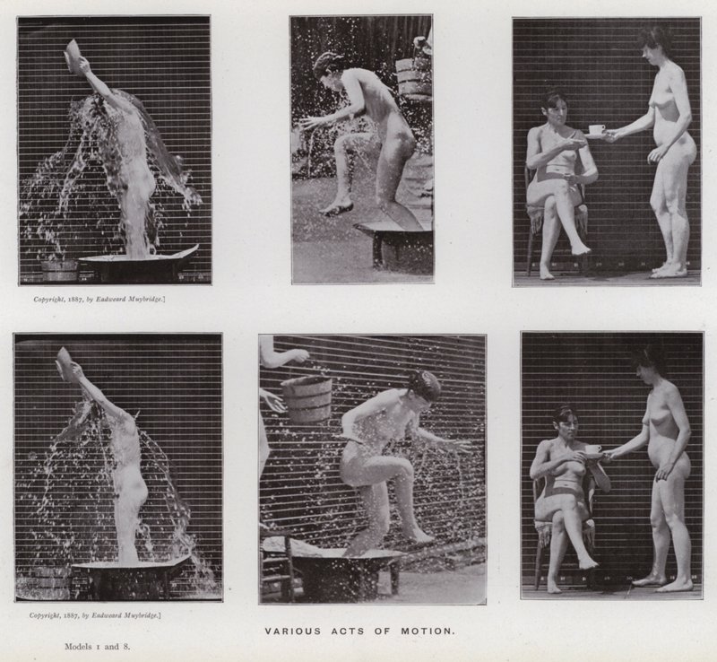 Hareket Halindeki İnsan Figürü: Çeşitli hareket eylemleri (s/b fotoğraf) by Eadweard Muybridge