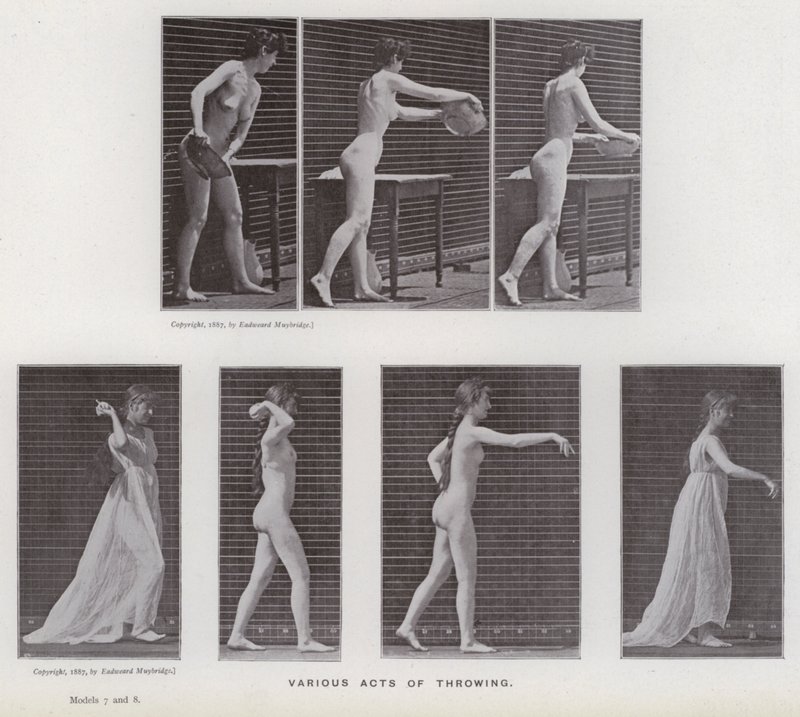 Hareket Halindeki İnsan Figürü: Çeşitli fırlatma hareketleri (s/b fotoğraf) by Eadweard Muybridge