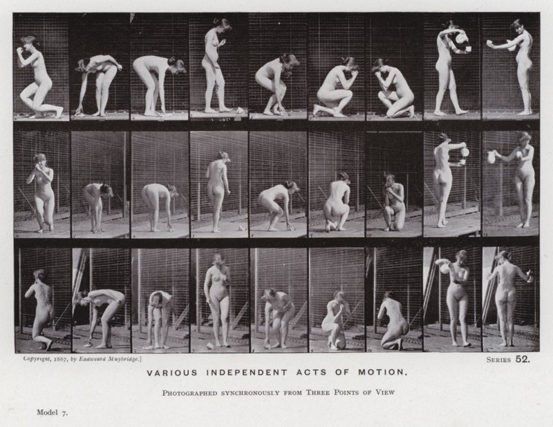 Hareket Halindeki İnsan Figürü: Çeşitli bağımsız hareket eylemleri (s/b fotoğraf) by Eadweard Muybridge
