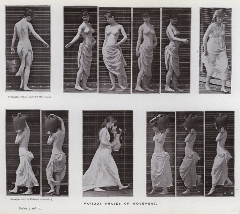 Hareket Halindeki İnsan Figürü: Hareketin çeşitli evreleri (s/b fotoğraf) by Eadweard Muybridge