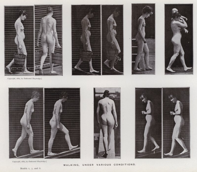 Hareket Halindeki İnsan Figürü: Yürüyen, çeşitli koşullar altında (s/b fotoğraf) by Eadweard Muybridge