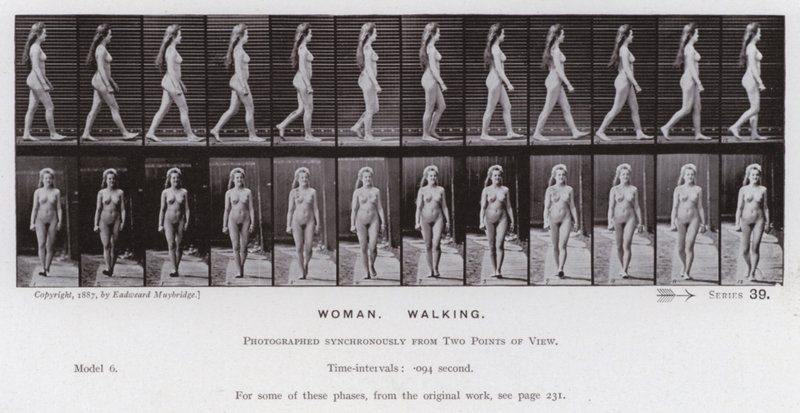 Hareket Halindeki İnsan Figürü: Kadın, Yürüyüş (s/b fotoğraf) by Eadweard Muybridge