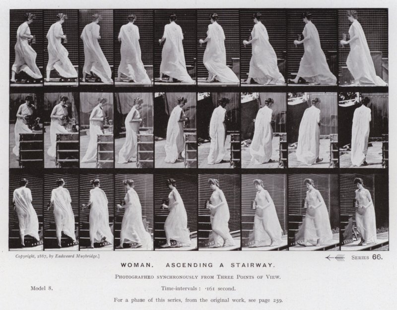 Hareket Halindeki İnsan Figürü: Merdivenden çıkan kadın (s/b fotoğraf) by Eadweard Muybridge