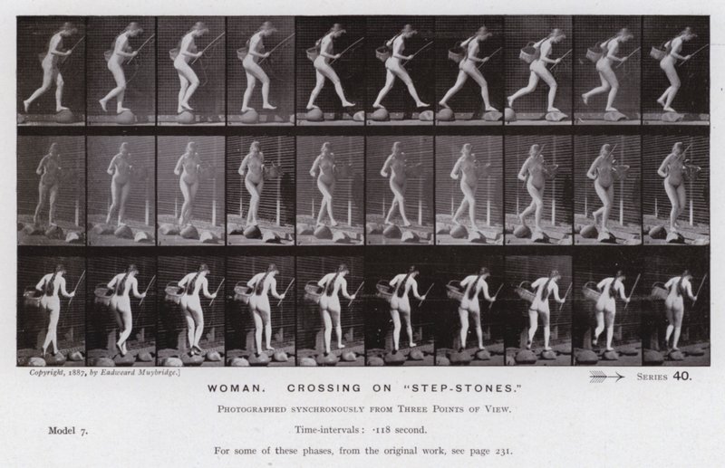 Hareket Halindeki İnsan Figürü: Kadın, "basamak taşları" üzerinde geçiş (s/b fotoğraf) by Eadweard Muybridge