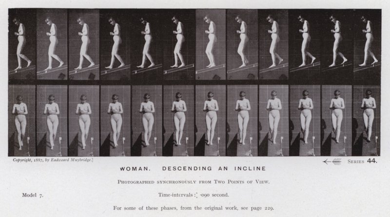 Hareket Halindeki İnsan Figürü: Eğimden inen kadın (s/b fotoğraf) by Eadweard Muybridge