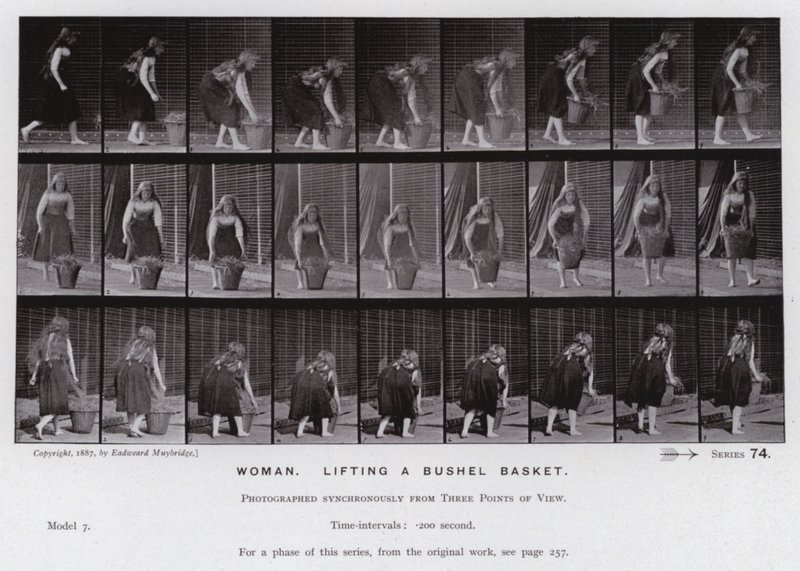 Hareket Halindeki İnsan Figürü: Bir kile sepeti kaldıran kadın (s/b fotoğraf) by Eadweard Muybridge
