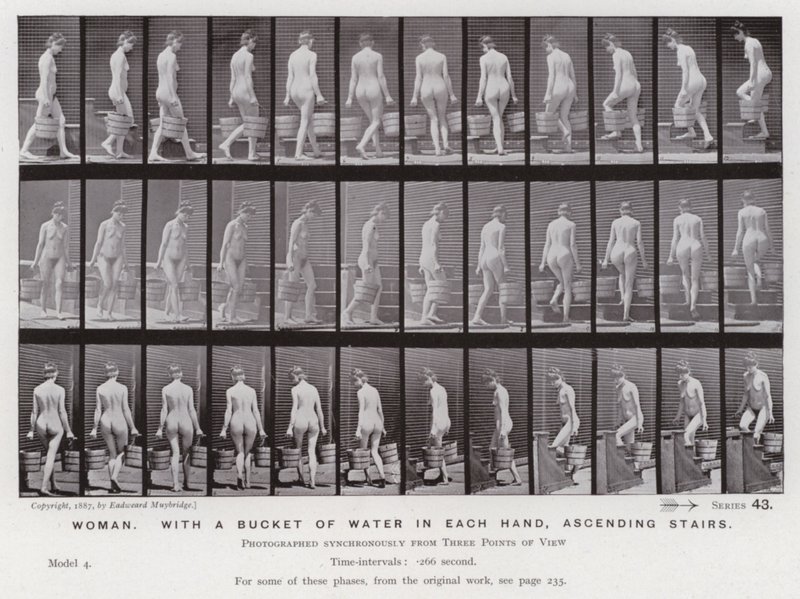 Hareket Halindeki İnsan Figürü: Her iki elinde bir kova su olan kadın, merdivenleri tırmanıyor. by Eadweard Muybridge