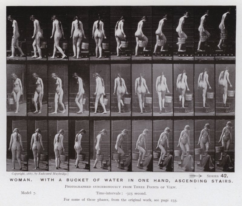 Hareket Halindeki İnsan Figürü: Bir elinde su kovası ile merdivenleri çıkan kadın (s/b fotoğraf) by Eadweard Muybridge