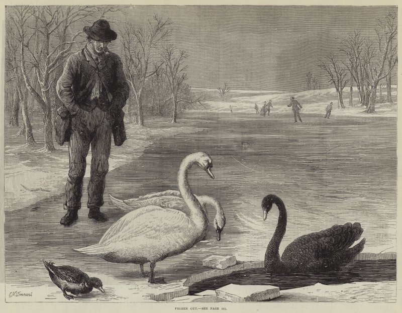 Donmuş by Ebenezer Newman Downard