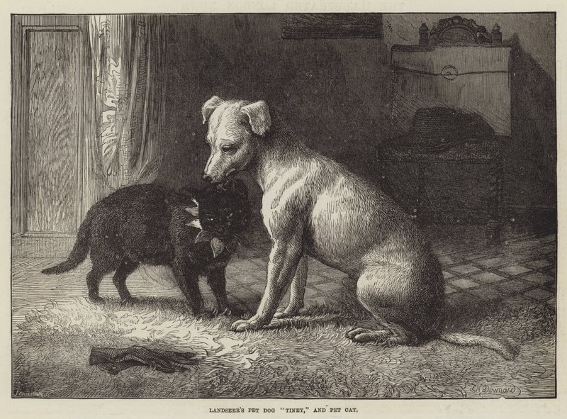 Landseer'ın Evcil Köpek Tiney ve Evcil Kedisi by Ebenezer Newman Downard