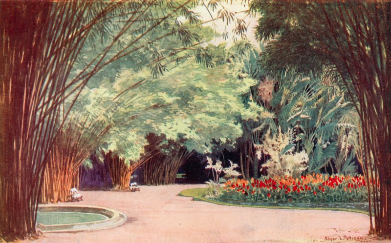 Bambu Korusu, Botanik Bahçeleri (renkli taş) by Edgar L. Pattison