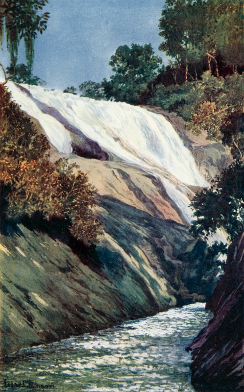 Tijuca