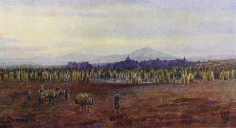 Kuzey İspanya: Benavente, Castro Gonzalo Köprüsü