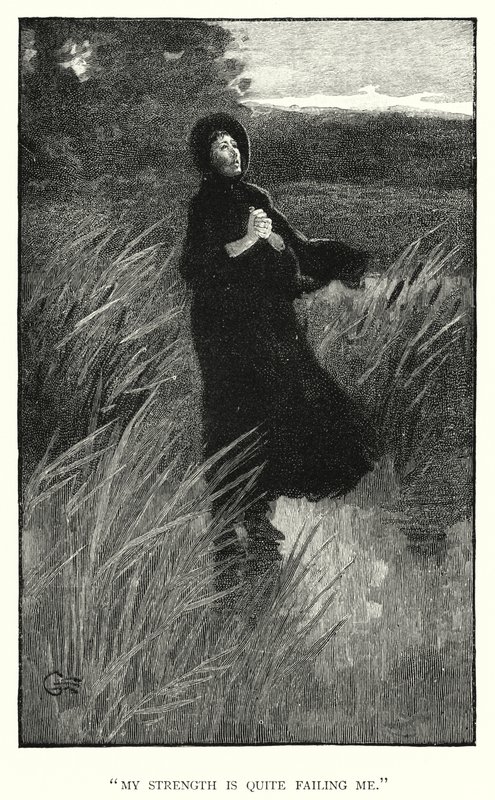 Charlotte Bronte tarafından Jane Eyre için illüstrasyon (gravür) by Edmund Henry Garrett