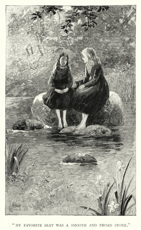 Charlotte Bronte tarafından Jane Eyre için illüstrasyon (gravür) by Edmund Henry Garrett
