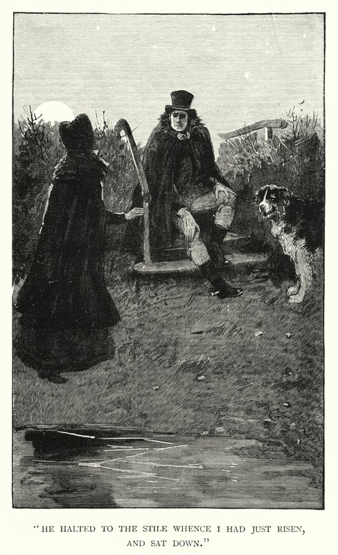 Charlotte Bronte tarafından Jane Eyre için illüstrasyon (gravür) by Edmund Henry Garrett