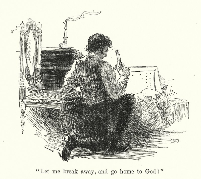Charlotte Bronte tarafından Jane Eyre için illüstrasyon (lito) by Edmund Henry Garrett