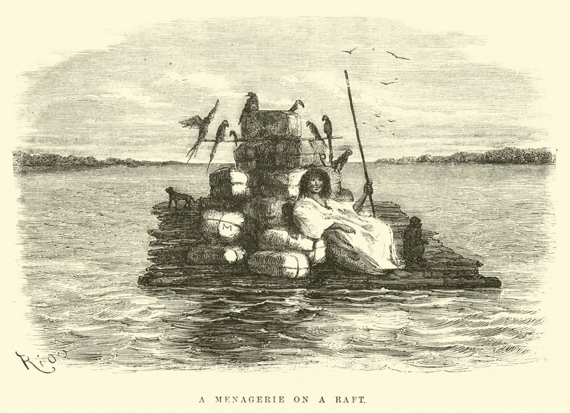 A Menagerie on a raft  by Edouard Riou