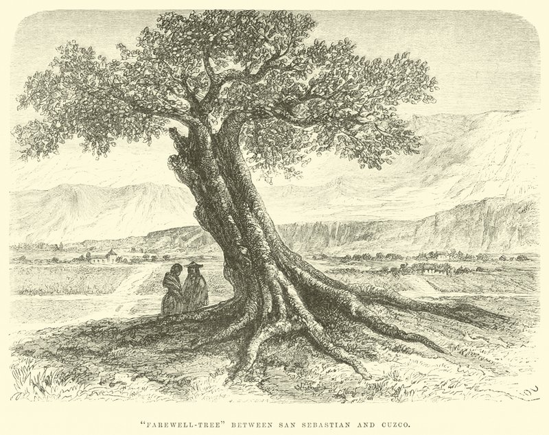 San Sebastian ve Cuzco arasındaki veda ağacı by Edouard Riou