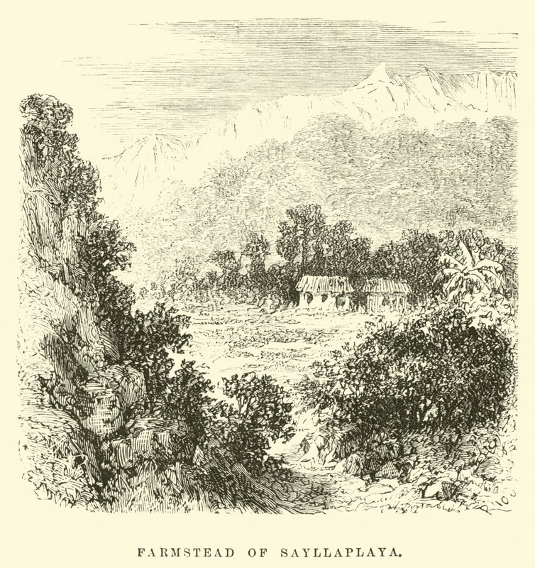 Viðurkenning Karls XIV Jóhannesar Svíakonungs (1763-1844) 1818 (gouache á striga) turki by Edouard Riou