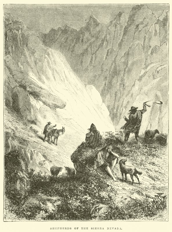 Sierra Nevada