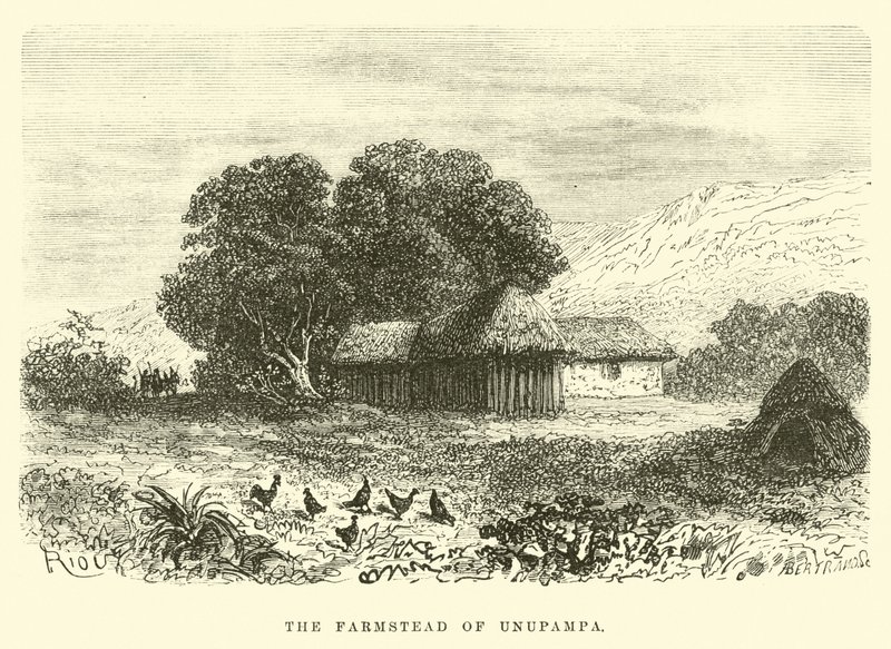 The farmstead of Unupampa  by Edouard Riou