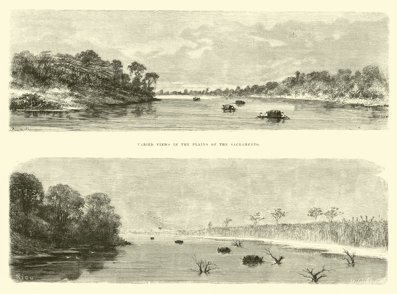 Sacramento Ovalarında çeşitli manzaralar by Edouard Riou
