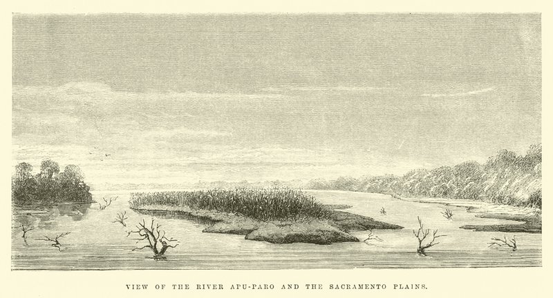 View of the River Apu-Paro and the Sacramento Plains  by Edouard Riou