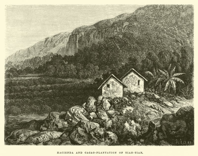Tian-tian Hacienda ve Kakao-plantasyonu by Edouard Riou