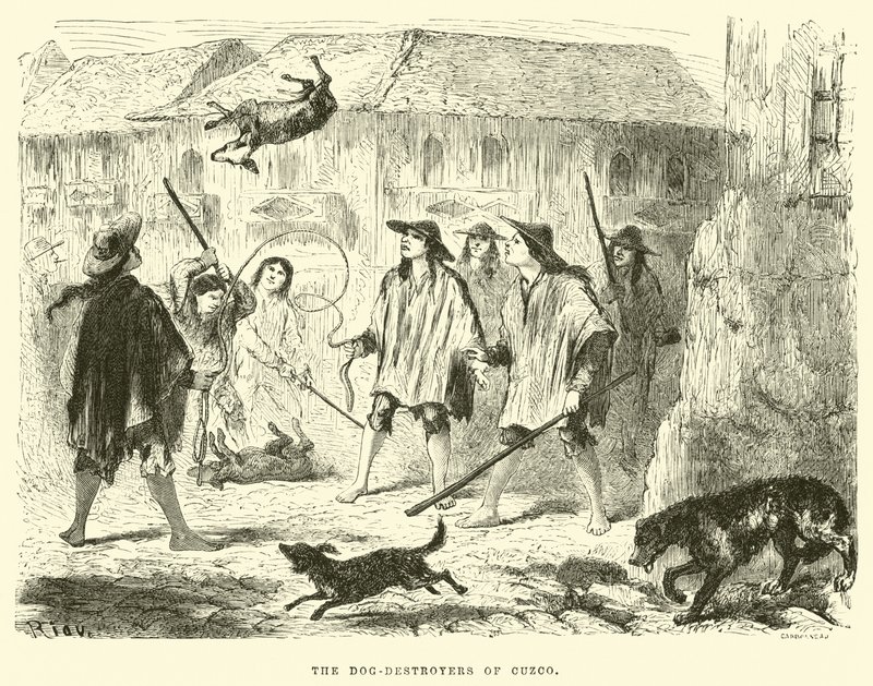 The dog-destroyers of Cuzco  by Edouard Riou
