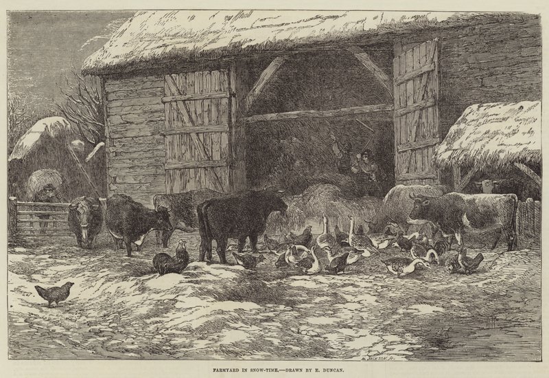 ಸ್ನೋ-ಟೈಮ್ ಟರ್ಕ್‌ನಲ್ಲಿನ ತೋಟ by Edward Duncan