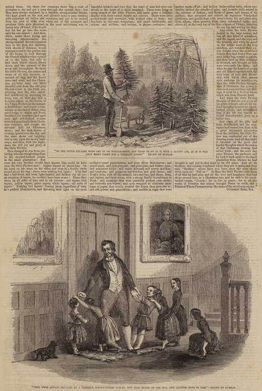 Küçük Köknar Ağacı için İllüstrasyonlar by Edward Duncan