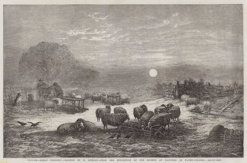 Ressamlar Derneği Sulu Boya Sergisinden Kış, Koyun Besleme by Edward Duncan