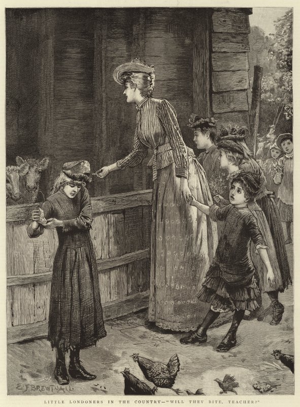 Ülkedeki Küçük Londralılar, ısırırlar mı öğretmenim by Edward Frederick Brewtnall