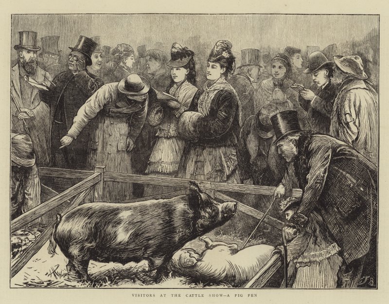 Sığır Gösterisinde Ziyaretçiler, Bir Domuz Kalemi by Edward Frederick Brewtnall