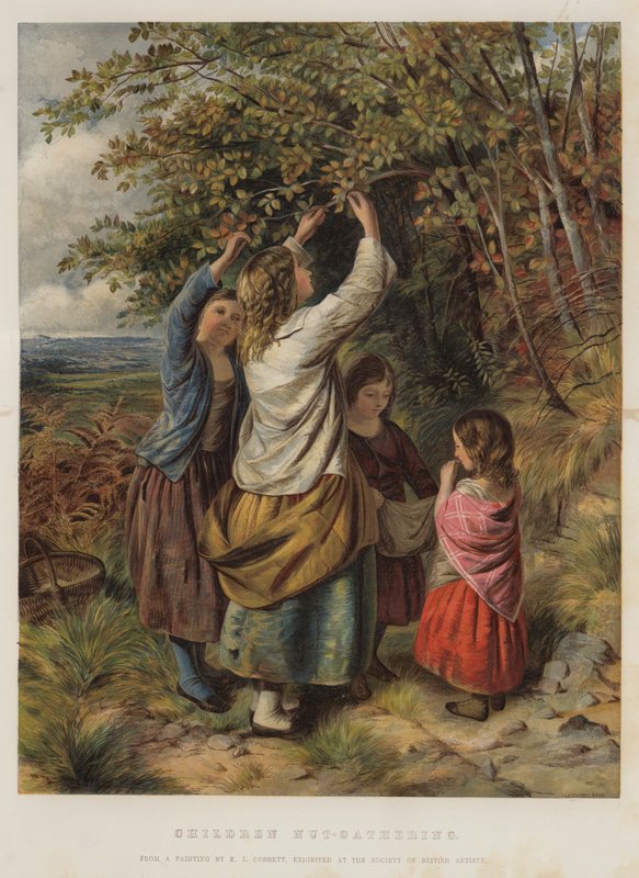 Çocuklar Fındık Toplama by Edward John Cobbett