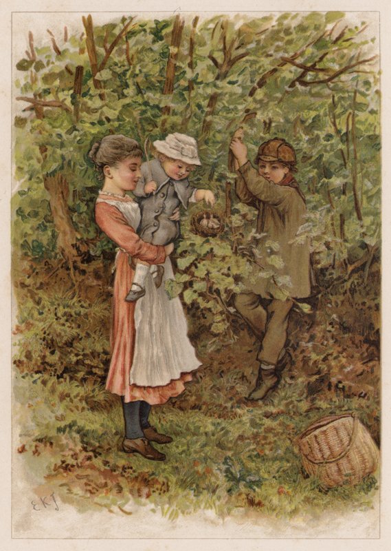 Flapsy and Pecksy  by Edward Killingworth Johnson