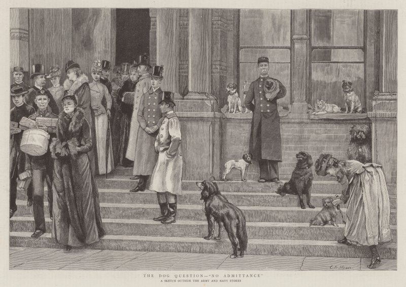 Köpek Sorusu, Kabul Yok by Edward Killingworth Johnson