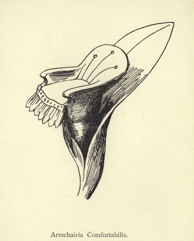 Koltuk Rahatlığı by Edward Lear